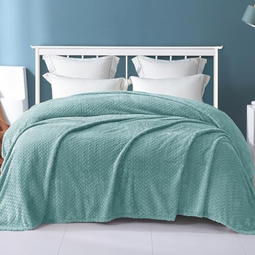 Image of Exclusivo Mezcla Fleece Blanket Queen Size for Bed, Celadon Soft Plush Bed Blanket, Lightweight Flannel Throws for All Seasons, 90x90 Inches