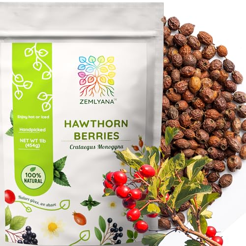 Hawthorn Berry Tea - Whole Berries Dried - Natural Crataegus Monogyna, Bulk 1 lb (16oz)