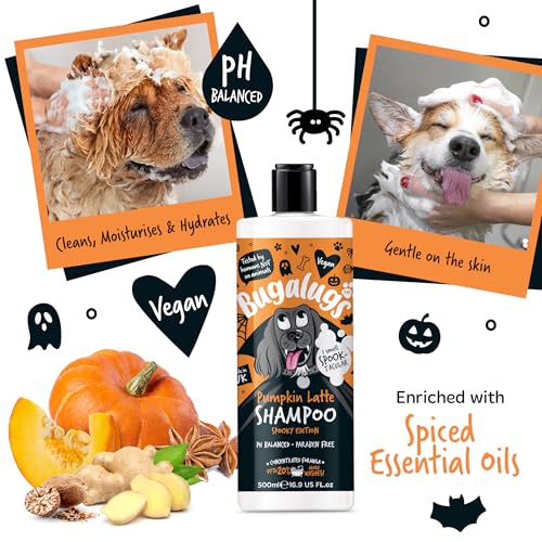 Bugalugs Pumpkin Latte Dog Shampoo Spooky Edition - Image 4
