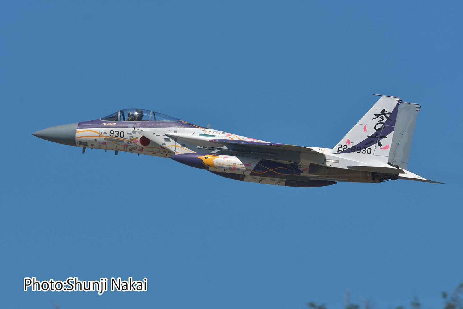 Amazon | プラッツ(PLATZ) 1/72 航空自衛隊 F-15J イーグル 第306飛行