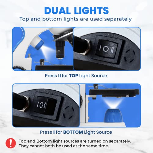 Old Ted 40X - 1000X Microscope For Kids, Students & Adults. Complete Microscope Kit Including Specimen Slide Samples, Detailed User Guide & Phone Microscope Adaptor. Ideal For Stem Projects #TOP4