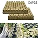 50100 Pcs of Grow Starter Cubes Perfect for Cultivating All Types of Plants (50pcs)