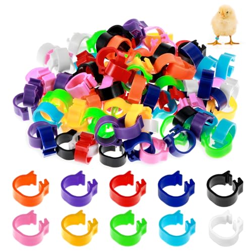 100Pcs 10mm Baby Poultry Leg Bands with 10 Colors Chicken Quail Bird Identification Bands Clip on Leg Rings Poultry Tags for Chicks Bantam Finch Dove Lovebird Quail Small Birds