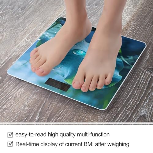 Báscula de Baño Digital con Vidrio Templado y Pantalla LCD miniatura 5