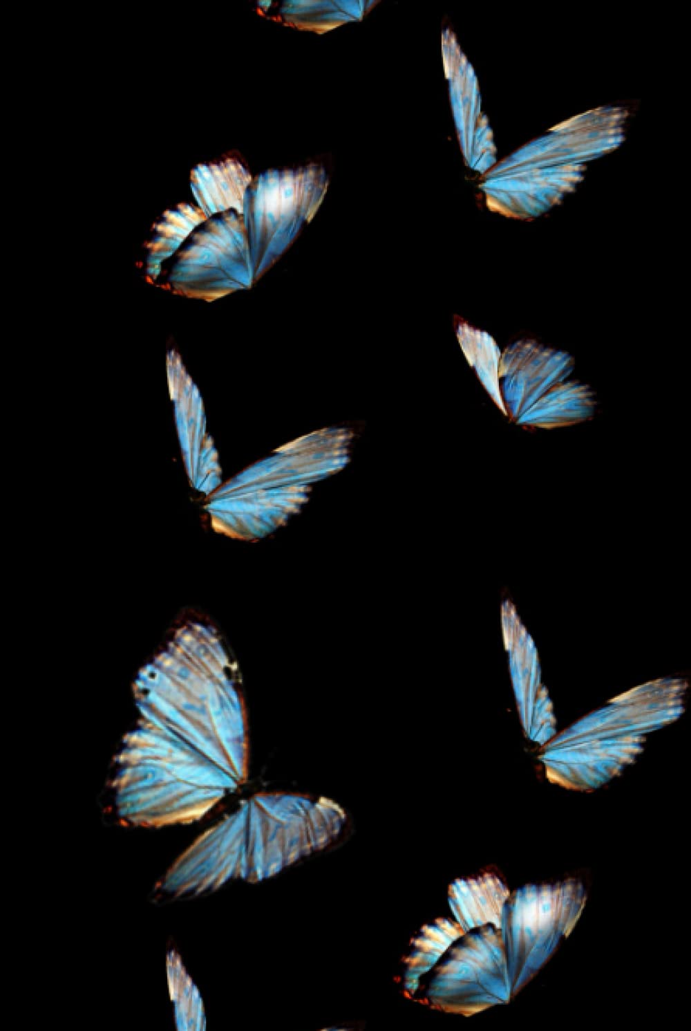 Butterflies Daily Journal