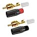 12 Foot RCA Cable Pair - Gotham GAC-4/1 (Black) Star-Quad Audio Interconnect Cable with Amphenol ACPL Black Chrome Body, Gold Plated RCA Connectors - Directional