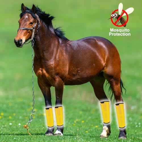 Image of FOXLVDA Horse Fly Boots (Set of 4) - Comfortable Horse Wraps | with Mesh & Metal Support Bars to Reduce Stomping and Leg Fatigue, for Ponies under 14.2hh, Medium
