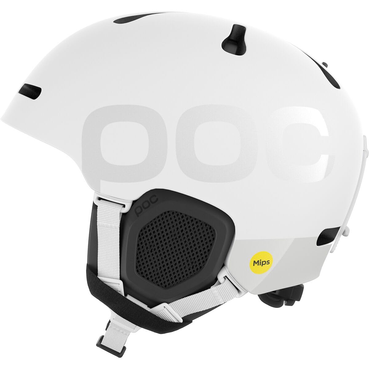 Fornix BC