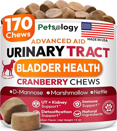 Dog UTI Treatment - 170 Cranberry Chews for Dogs - Urinary Tract Infection, Bladder & Kidney Health Multivitamin - Cranberry Supplement for Dogs with D-Mannose - Dog Vitamins and Supplements