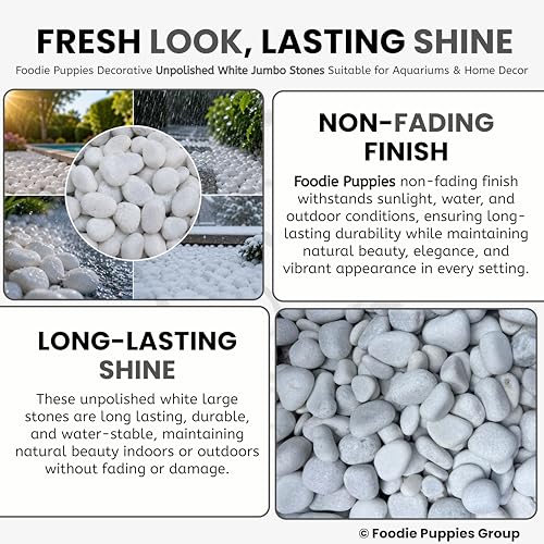 Image of Foodie Puppies Unpolished White Decorative Stones (5Kg, Jumbo Extra Large) (8cm - 12cm) for Garden Landscaping, Swimming Pools, Fish Tanks, Home Decor, Indoor & Outdoor Decorative Pebbles