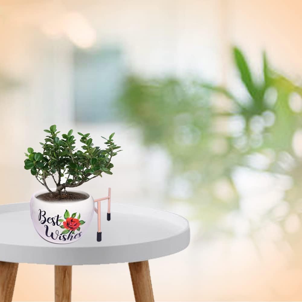 COPPE-RICO - SUPREMA QUALITA` Best Wishes Printed Metal Pot with Stand, Rust-Free Powder Coating, Indoor Outdoor Use, Home Office Decor, Plants Not Included, Pot Size: 10 * 13cm, Stand Height: 7.5cm