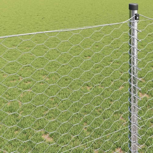 Séparation intimité durable et esthétique avec grillage en acier galvanisé