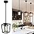 SGLfarmty Black Pendant Lights Kitchen Island, 1-Light Light Fixtures, Farmhouse Island Lighting, Metal Cage Hanging with Glass Shade for Hallway, Entryway