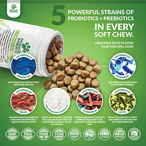Doggie Dailies Probiotics for Dogs, 225 Soft Chews, Advanced Dog Probiotics with Prebiotics, Promotes Digestive Health, Supports Immune System and Overall Health (Duck) - Thumbnail 3