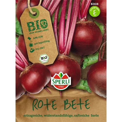 Rübensamen - Bio-Rote Beete Storuman - Bio-Saatgut von Sperli-Samen