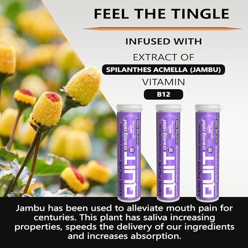 Image of Xero Picks Infused Flavored Toothpicks to Help Quit Smoking - Nicotine Free - 60 Picks (3 Packs) (Berry) Non-GMO Kosher Vegan