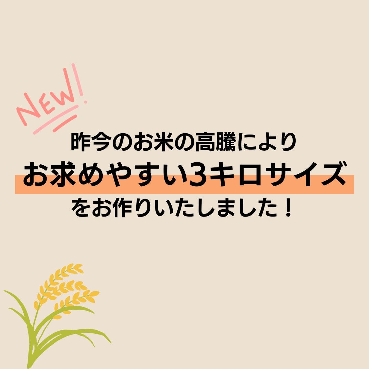 【無洗米】米 3kg 令和7年産 秋田県産 あきたこまち 厳選米 (3kg×1袋…