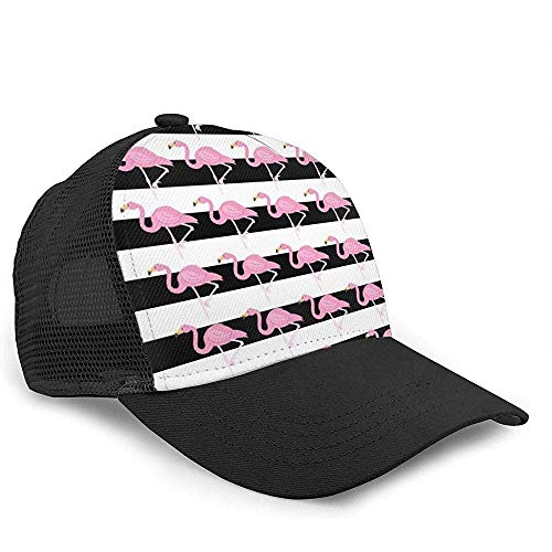 gorra vans flamencos