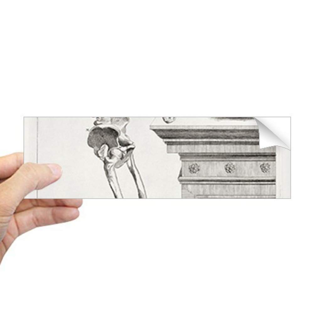 Autocollant squelette rectangulaire vitre sticker fenêtre DIYthinker