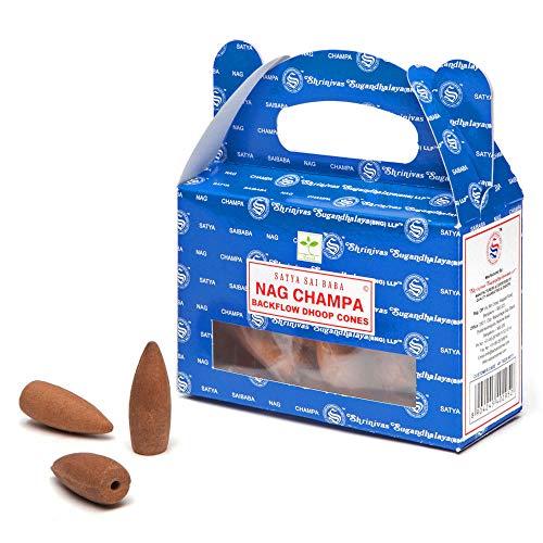 Dragon's Blood Sage smudge stick 3-pack 4