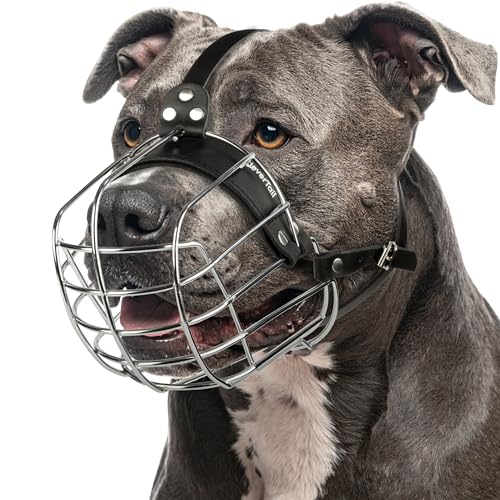 CleverTail Metall-Maulkorb für Pitbull – Körbchen-Maulkorb mit verstellbaren Lederriemen – Stahl-Käfig-Maulkorb zum Verhindern von Beißen – Mundschutz für große und mittelgroße Pitbulls und Bully