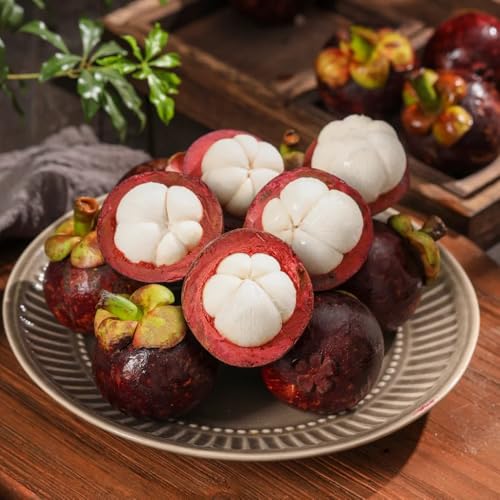 Mangostan Semillas Marca Generic