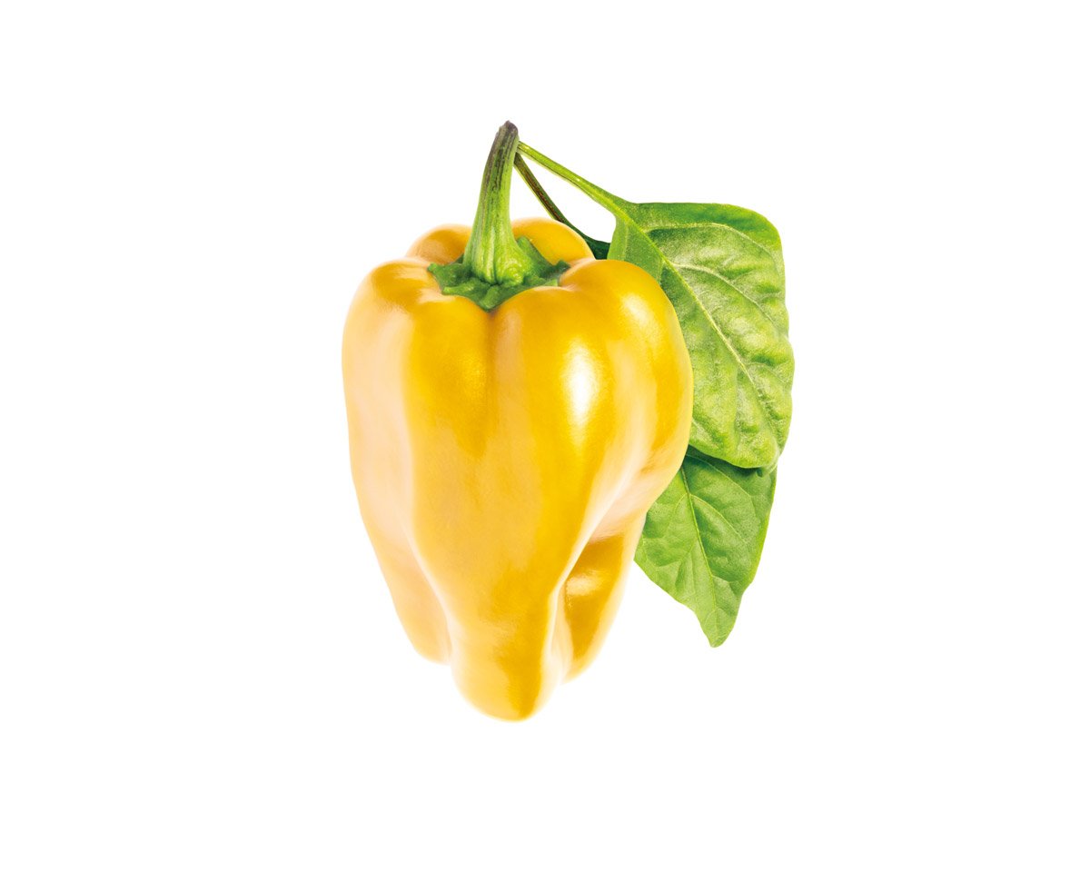 Click & Grow, Ricambio Vasi di Terriccio di Peperone Giallo, Confezione con 3 Capsule