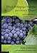 Which Winegrape Varieties are Grown Where?: a global empirical picture
