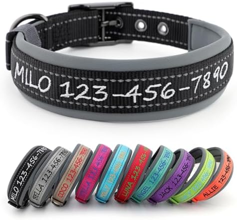 Personalized Dog Collar, Embroidered Name & Phone Number, Custom ...