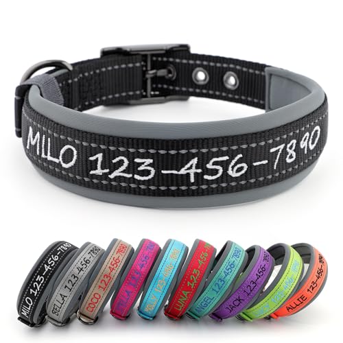 APakBak Personalized Dog Collar, Embroidered Name & Phone Number, Custom Reflective Nylon Pet