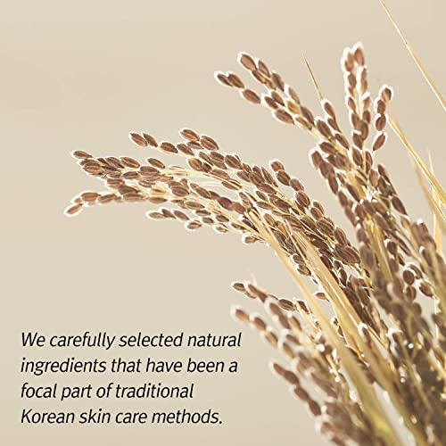 House Of Dohwa, Rice Wash Off Facial Mask L Domestically Harvested Ingredients, Brightening & Soothing L Product Of Korea - 3.38 Fl. Oz #TOP5