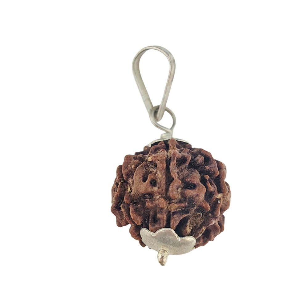 Choose Your Original Lab Certified Rudraksha 1 to 13 Mukhi Ganesha Gauri Shankar Silver Plated Pendant Astrological Shiva Jewellery for Men and Women-image-26
