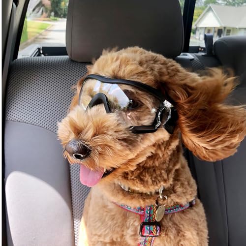 balacoo Sonnenbrillen für Hunde: UV-Schutz Sonnenbrille mit Einstellbar Gummiband Wasserdicht Winddicht Augenschutz für Mittel/Gross Hunde