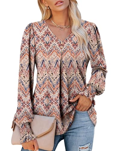 Angerella Long Sleeve Shirts for Women Comfy V Neck Fall Tops Dressy Casual Blouses Trendy Tunic Tops for Leggings S-3XL2