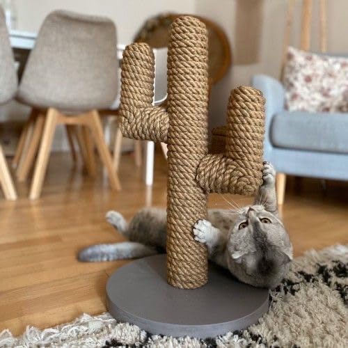 House of Meows Desert Oasis – Cactus Inspired Cat Scratcher with Natural Sisal Rope| Scratching pad for Cats and Kittens for Furniture Protection, Pack of 1 (B0CVQDTGR3) Amazon Price History, Amazon Price Tracker
