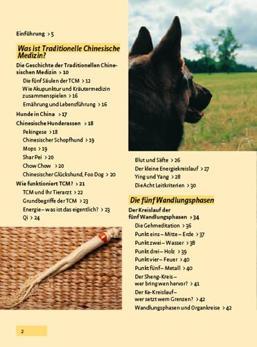 TCM - Traditionelle Chinesische Medizin für Hunde: Hunde heilen nach den fünf Elementen