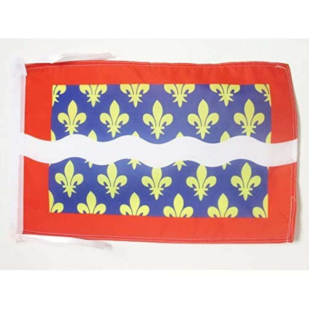 AZ FLAG - French Department of Cher Flag - 18'' x 12'' - 100% Polyester France Small Banner with Two Cords - Fade Resistant - Vivid Colors - 18x12 in - 45x30 Cm โ image 1