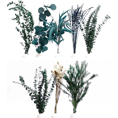 Ramo de flores secas de eucalipto BestAlice 45 cm verde miniatura 1