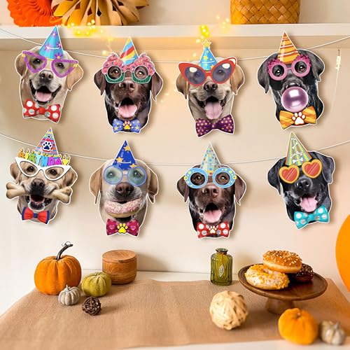 Image of Labrador Dog Birthday Garland, Photographic Labrador Retriever Faces Birthday Banner, Funny Labrador Dog Bday Party Bunting Decoration