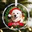 Pet Ornament