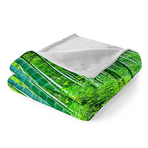 Couverture flanelle forêt de bambous plaid canapé pour vos soirées cocooning