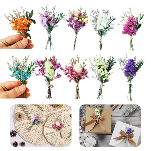 pclapora 10 Piezas Flores Secas Naturales, Mini Ramo de Flores Preservadas, Ramilletes Flore Secas, Flore Seca Decoracion Pequeño para Manualidades, Marco de Fotos, Bricolaje Resina, Álbumes de Recort