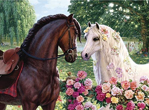 Jigsaw Puzzles for Adults 1000 Piece Brown and White Horse 20.5 x 15 Inch Wooden Puzzles 1000 Pieces for Adults Kids Educational Challenge Toy Horses Wood 1000 Pieces Puzzles for Adults