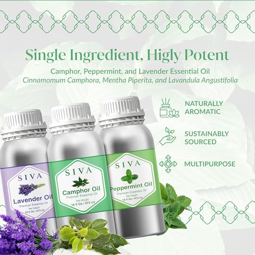 Siva Camphor, Peppermint and Lavender Essential Oil 16oz Bundle miniatura 3
