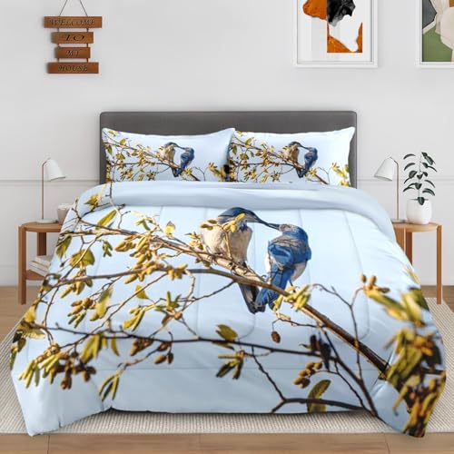 VAKADAKA 3-Piece Comforter Set, Blue Bird Wildlife Bedding