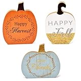 3 Thanksgiving Centerpiece Table Decor Fall Decorations Pumpkins Harvest Autumn Pumpkin Centerpieces for Home Kitchen Featuring Happy Fall Harvest Give Thanks for Indoor Desk Decoration