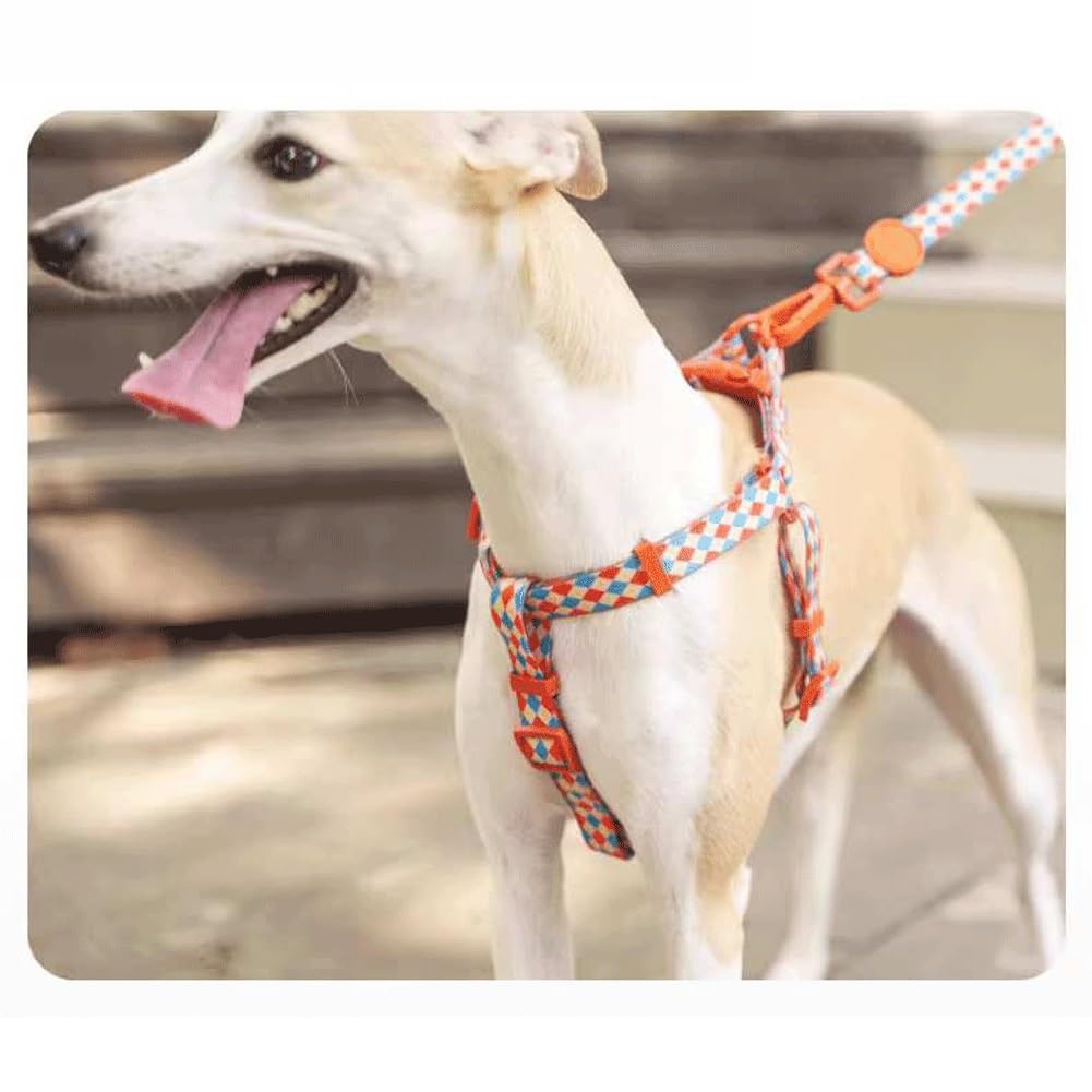 Arnés Ajustable para Perros - Chaleco Antitirones | Incluye Collar Y Correa A Juego - Mecanismo De Liberación Rápida | Adecuado para Perros Pequeños Y Medianos(M)