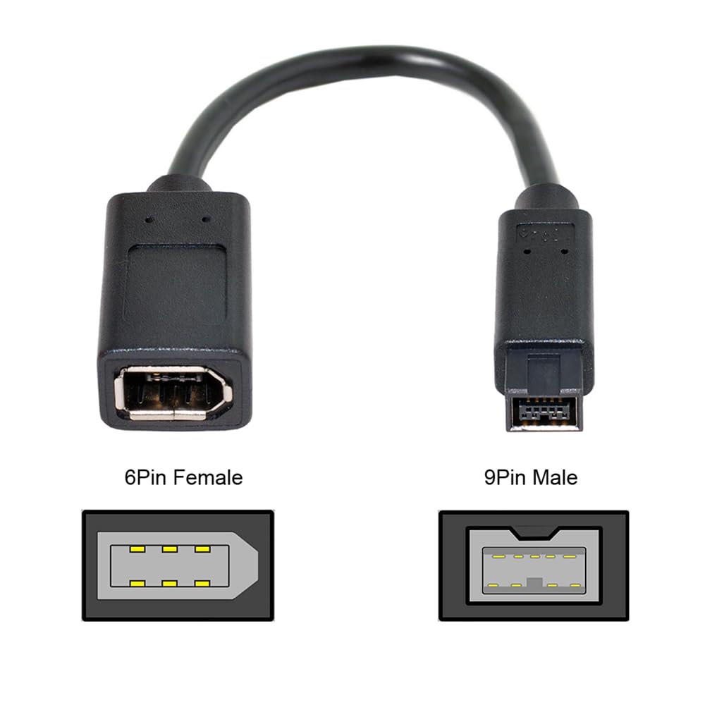 IEEE 1394 6Pin Femmina a 1394b 9Pin Maschio Firewire 400 a 800 Cavo 20cm