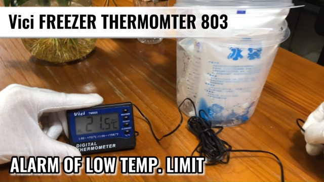 Amazon.com: JUNLIXN Digital Alarm Thermometer VICI TM803