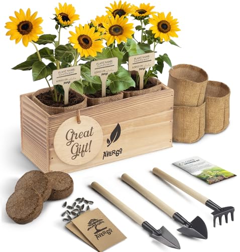 AVERGO Sunflower Seeds Growing Kit – Complete Seed and Plant Indoor & Outdoor Kit with Sunflower Seeds for Planting, Planter, Soil, Tools, Instructions – Ideal for Planting Sun Flowers at Home